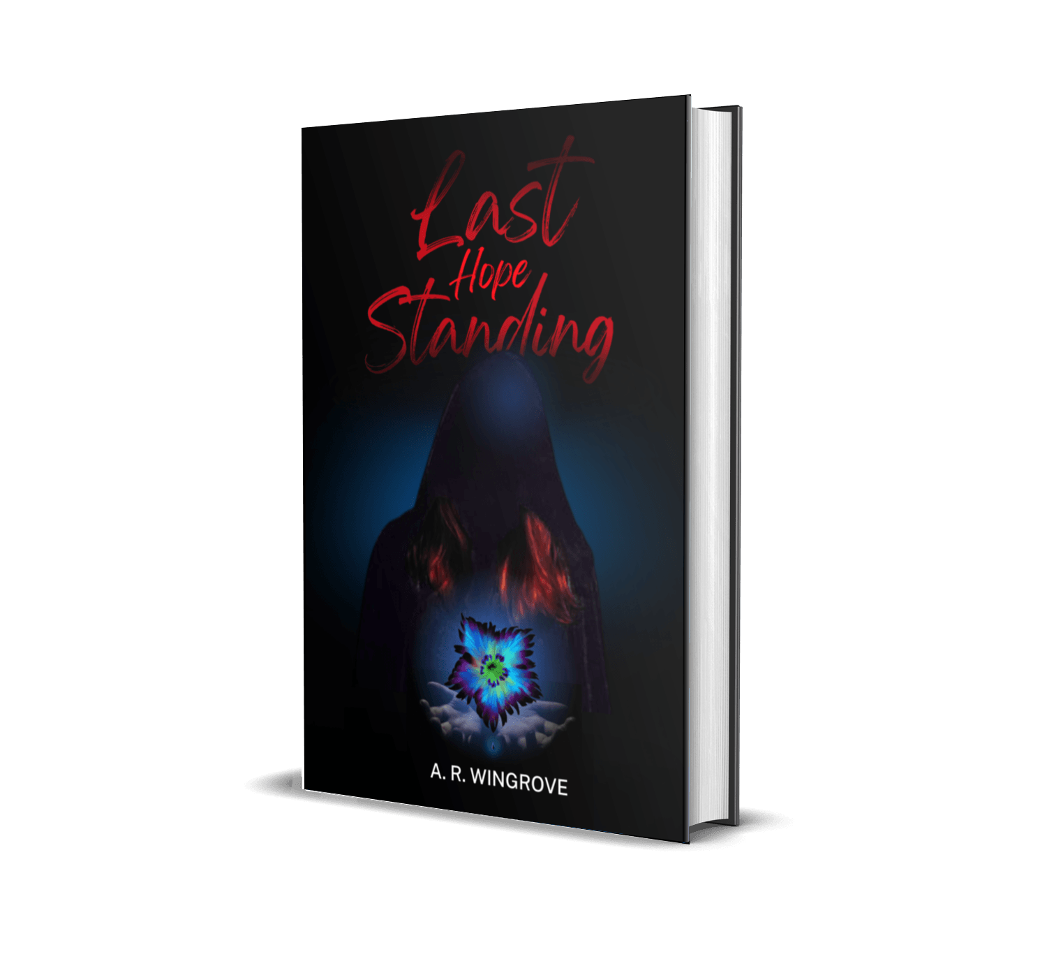 Cover of Last Hope Standing