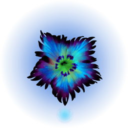 Magical Flower